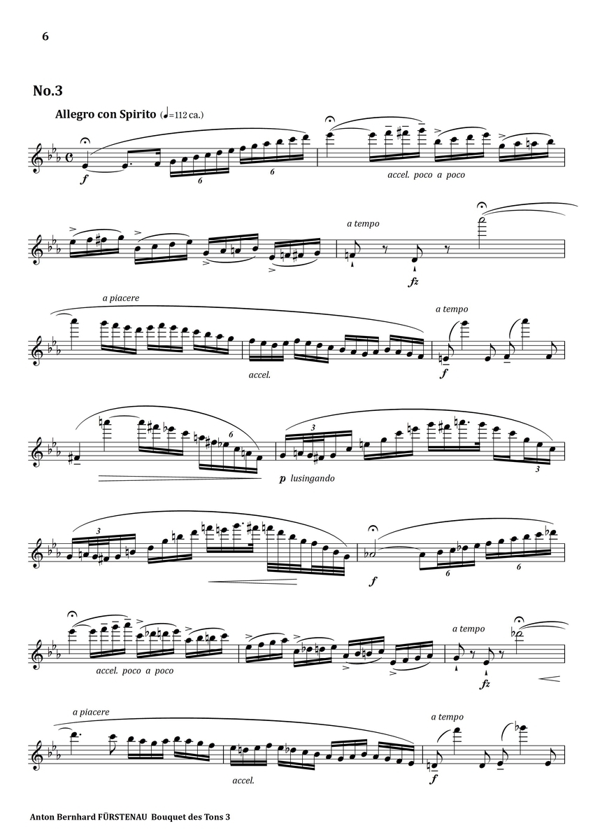 Furstenau Bouquet des Tons No.3 フルート上達の秘伝