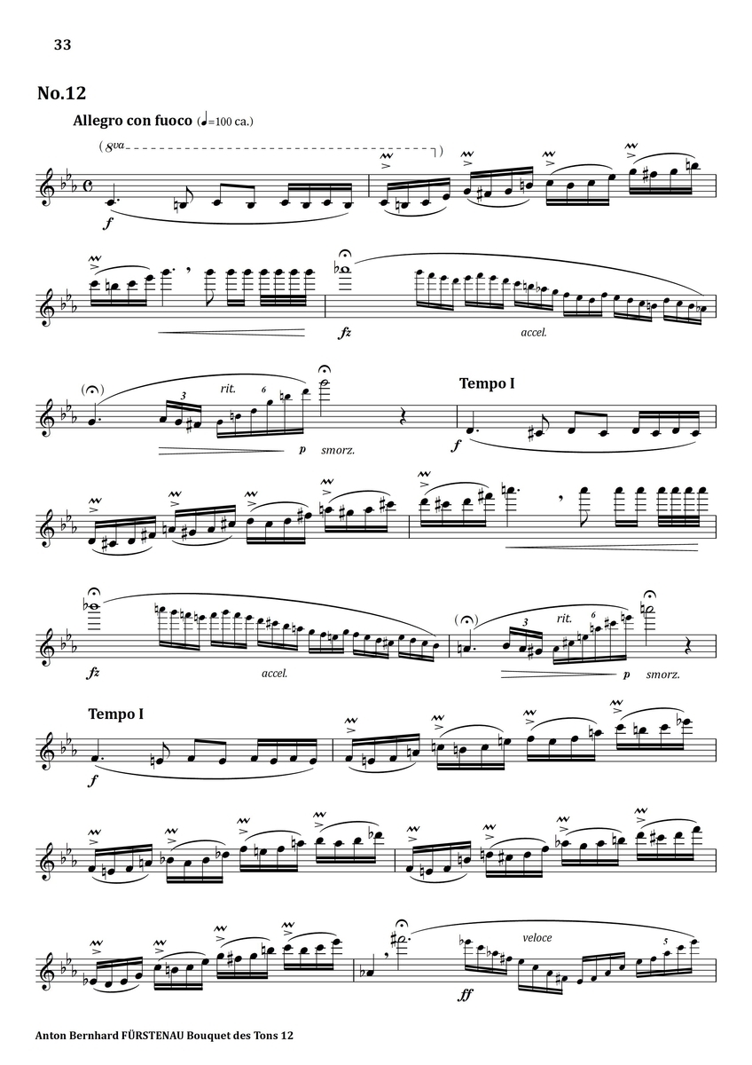 Furstenau Bouquet des Tons No.12 フルート上達の秘伝