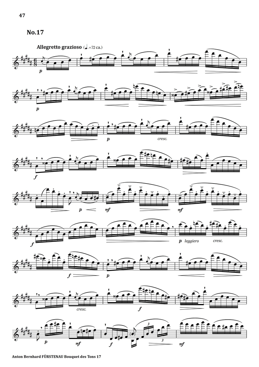 Furstenau Bouquet des Tons No.17 フルート上達の秘伝