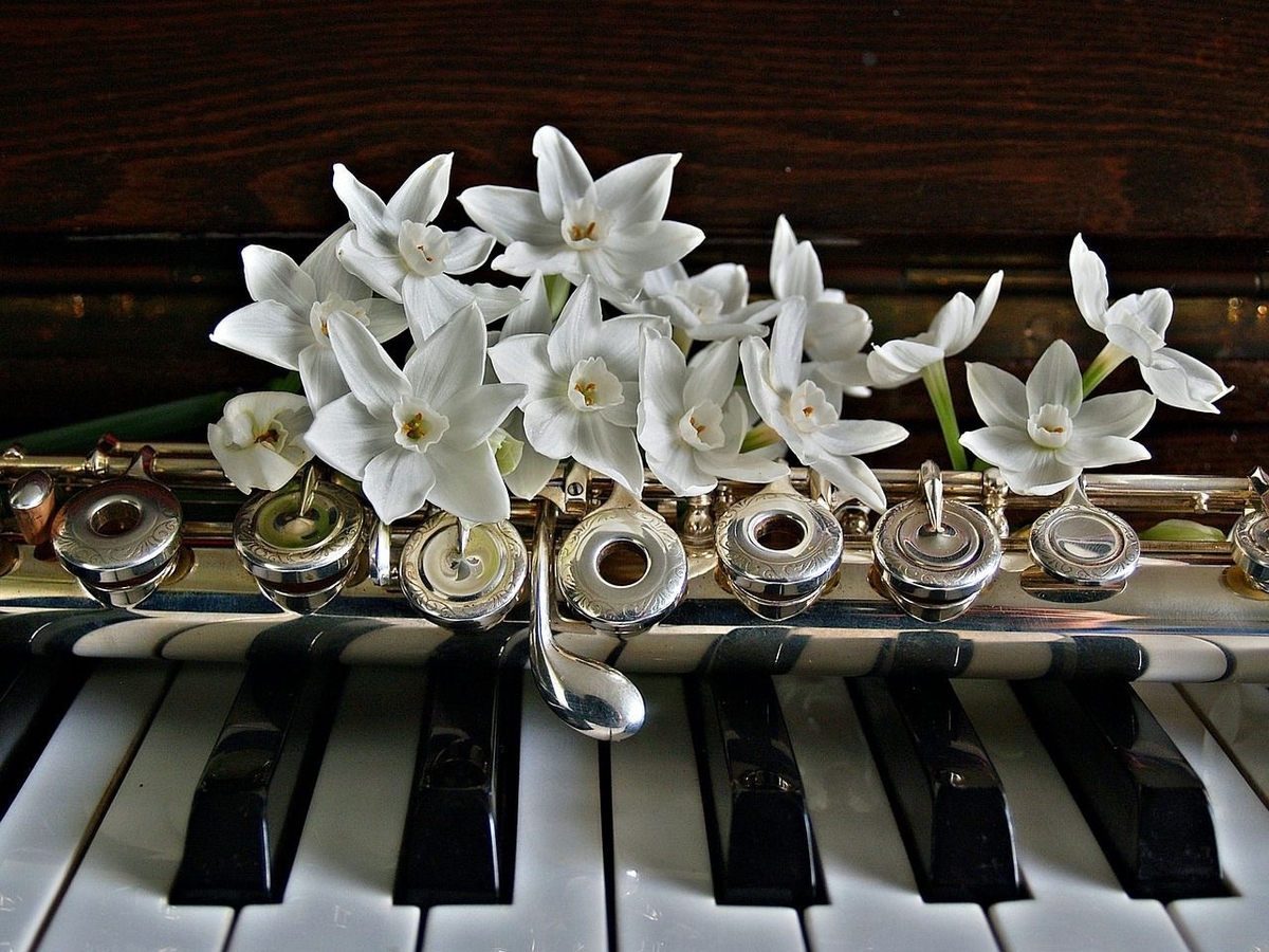 f:id:flutist_itsuka:20210131184248j:plain