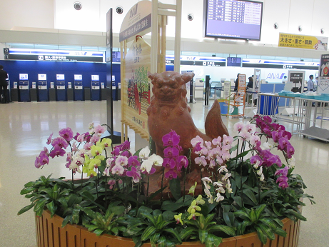 f:id:flyandstay:20180603192154p:plain f:id:flyandstay:20180603192154p:plain
