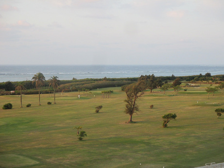 f:id:flyandstay:20181228134801p:plain f:id:flyandstay:20181228134801p:plain
