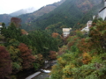 20081108130607