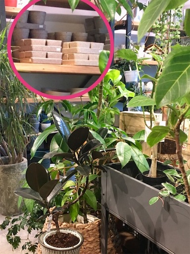 f:id:flybbf100:20190417230118j:image f:id:flybbf100:20190417230118j:image