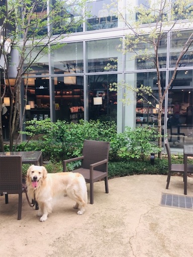 f:id:flybbf100:20190417230227j:image f:id:flybbf100:20190417230227j:image