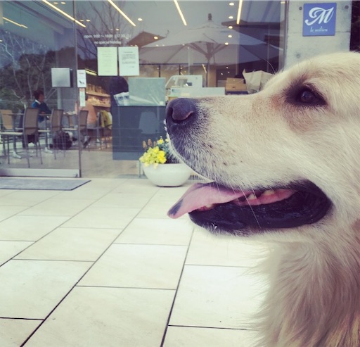 f:id:flybbf100:20190417230417j:image f:id:flybbf100:20190417230417j:image