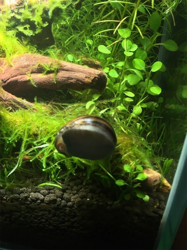 f:id:flybbf100:20190419081518j:image f:id:flybbf100:20190419081518j:image