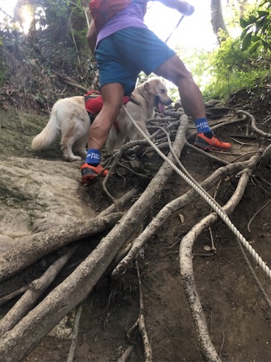 f:id:flybbf100:20190421225142j:image f:id:flybbf100:20190421225142j:image