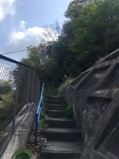 f:id:flybbf100:20190421225238j:image f:id:flybbf100:20190421225238j:image