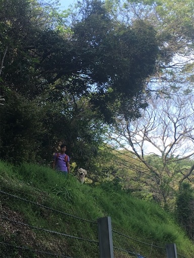 f:id:flybbf100:20190421225251j:image f:id:flybbf100:20190421225251j:image