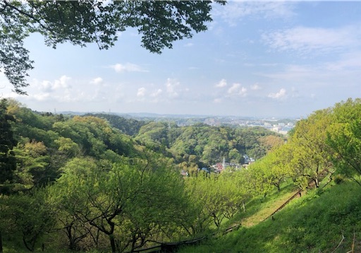 f:id:flybbf100:20190421225342j:image f:id:flybbf100:20190421225342j:image