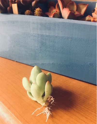 f:id:flybbf100:20190428230141j:image f:id:flybbf100:20190428230141j:image