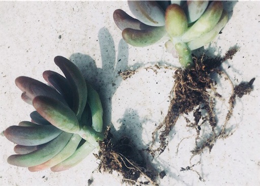 f:id:flybbf100:20190428230229j:image f:id:flybbf100:20190428230229j:image