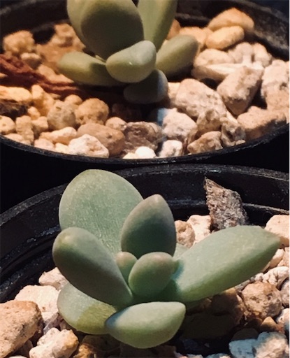 f:id:flybbf100:20190428232054j:image f:id:flybbf100:20190428232054j:image