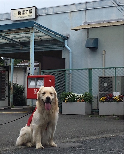 f:id:flybbf100:20190430021959j:image f:id:flybbf100:20190430021959j:image