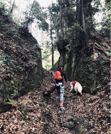 f:id:flybbf100:20190430022033j:image f:id:flybbf100:20190430022033j:image