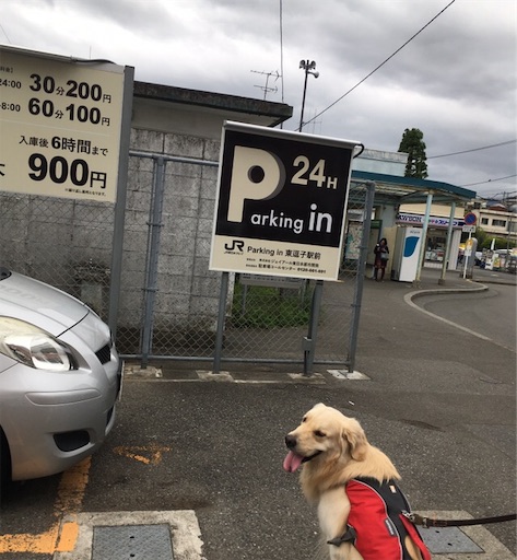 f:id:flybbf100:20190430022115j:image f:id:flybbf100:20190430022115j:image