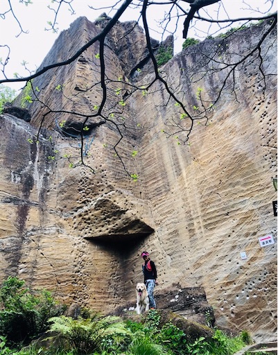 f:id:flybbf100:20190430022410j:image f:id:flybbf100:20190430022410j:image