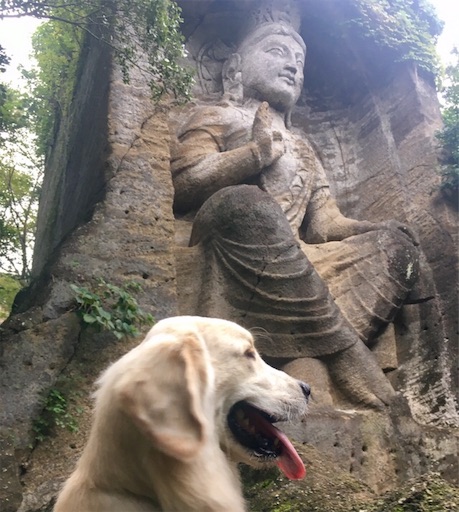 f:id:flybbf100:20190430200855j:image f:id:flybbf100:20190430200855j:image