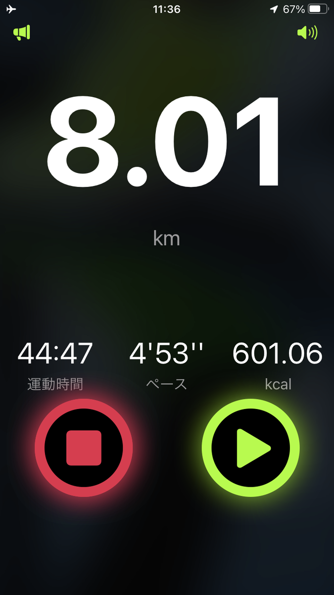 本日のランニング