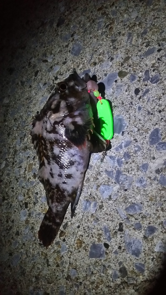 f:id:flyfisher417:20181114195034j:plain