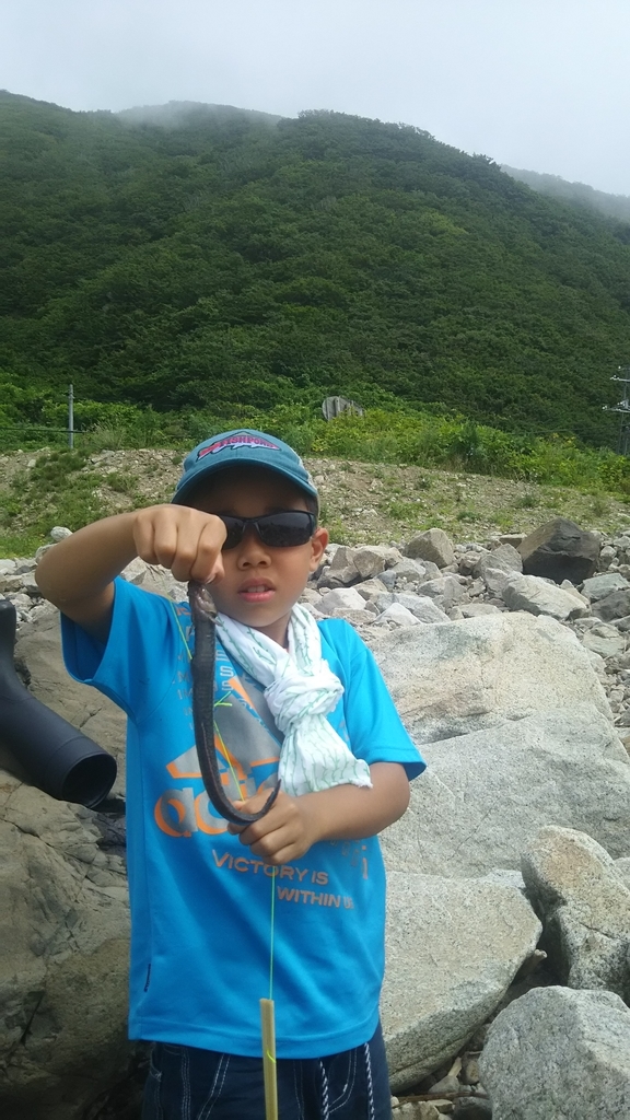 f:id:flyfisher417:20181122124424j:plain