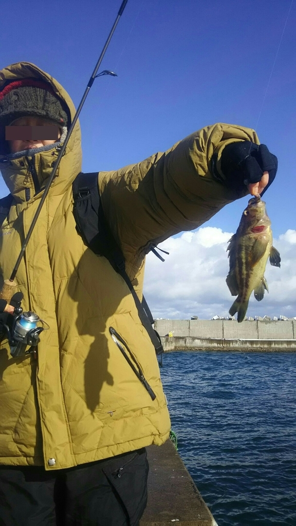 f:id:flyfisher417:20181126172540j:plain