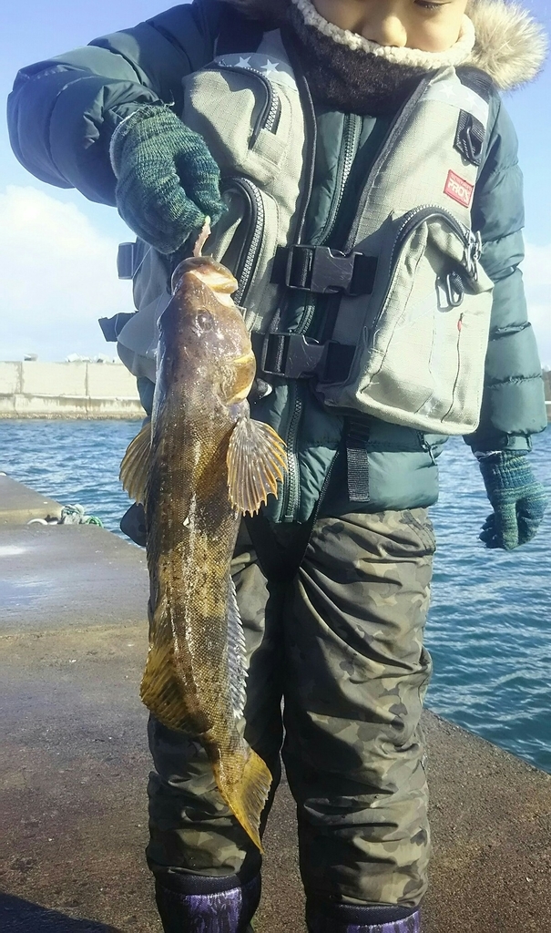 f:id:flyfisher417:20181126172645j:plain