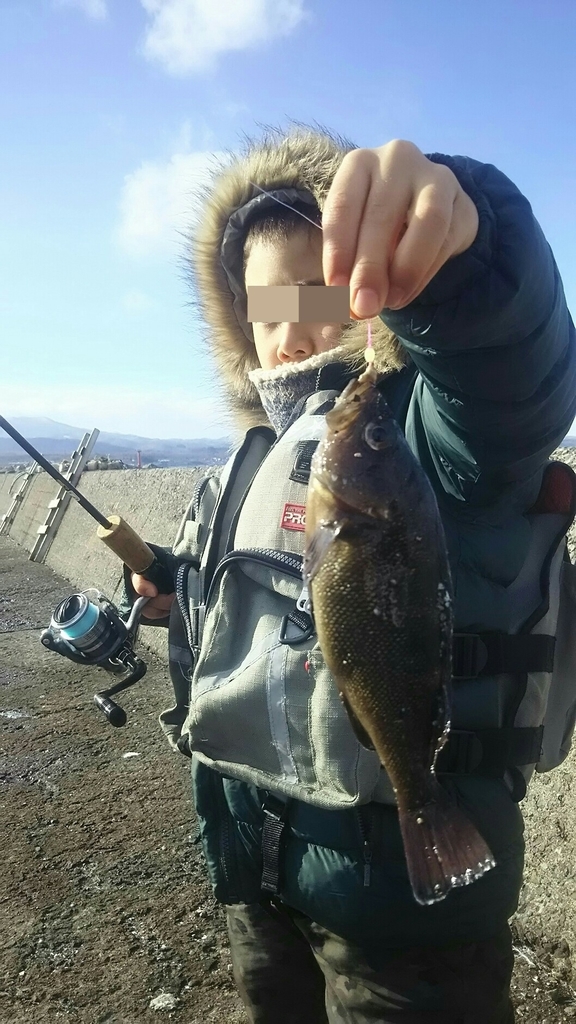 f:id:flyfisher417:20181128184126j:plain