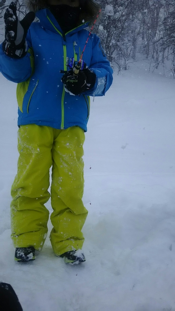 f:id:flyfisher417:20190119232828j:plain