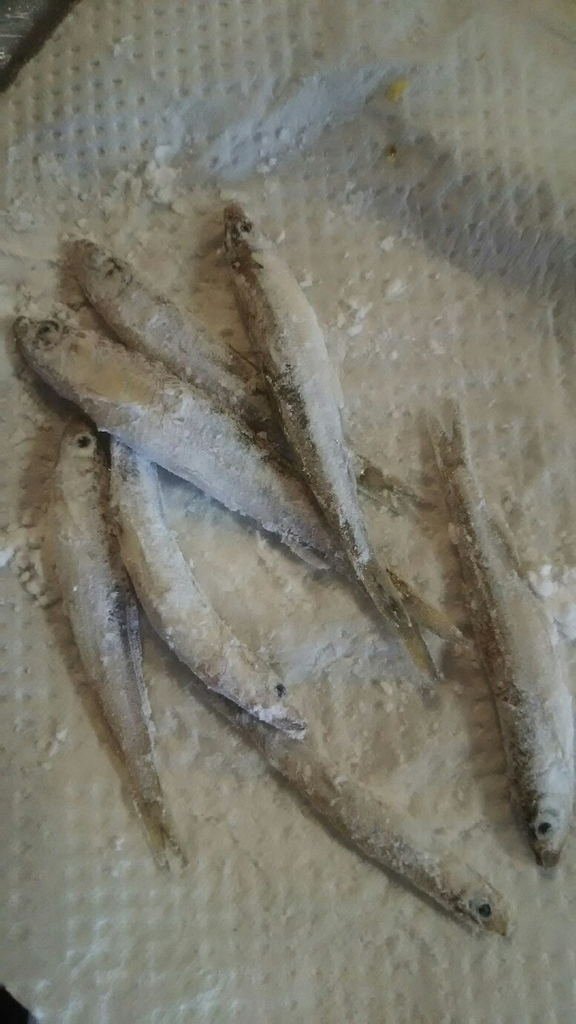 f:id:flyfisher417:20190120094417j:plain