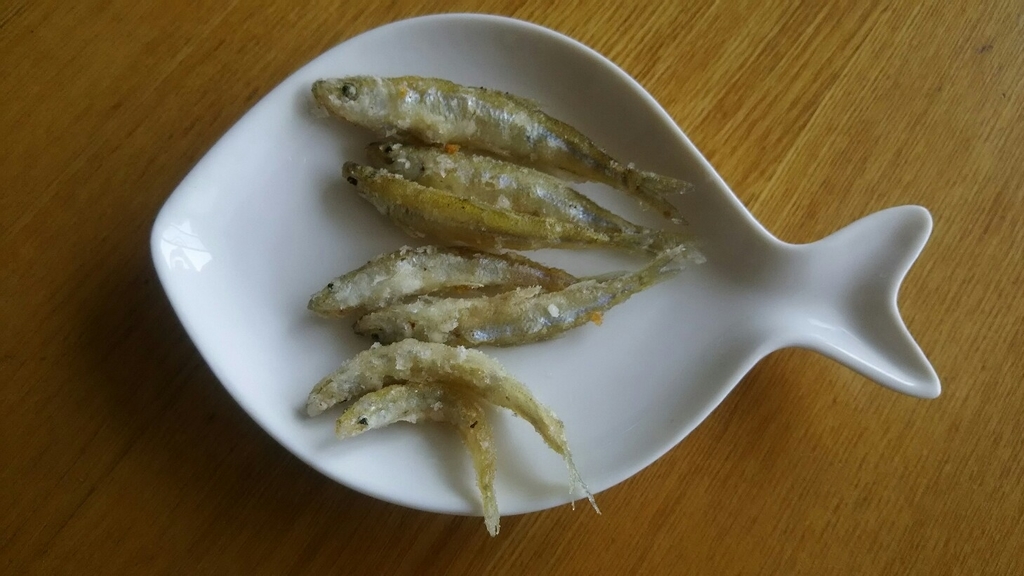 f:id:flyfisher417:20190120094443j:plain