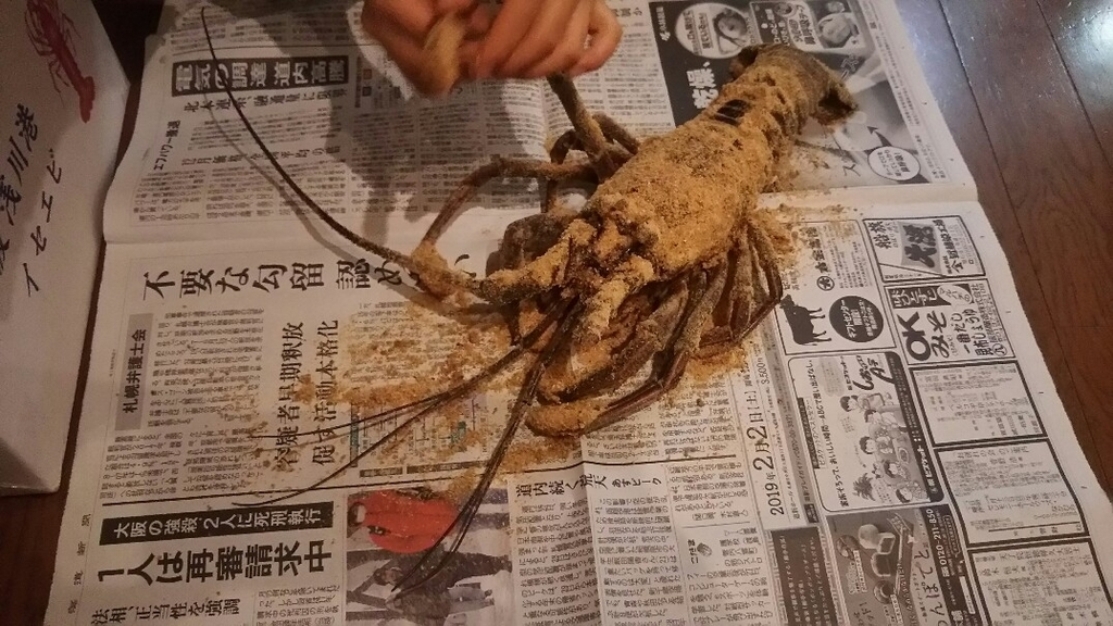 f:id:flyfisher417:20190125125018j:plain f:id:flyfisher417:20190125125018j:plain