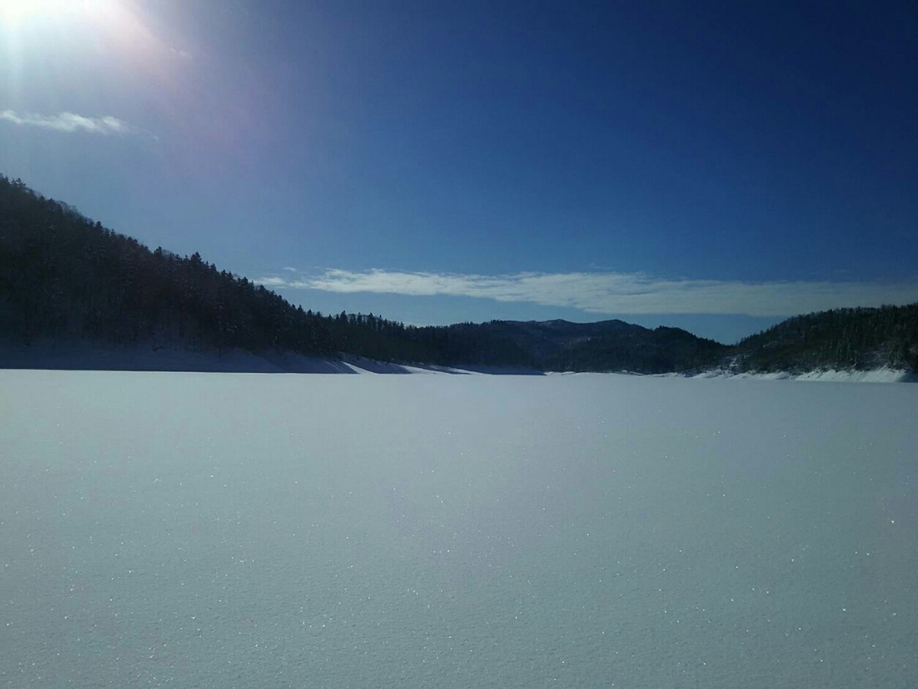 f:id:flyfisher417:20190127151547j:plain