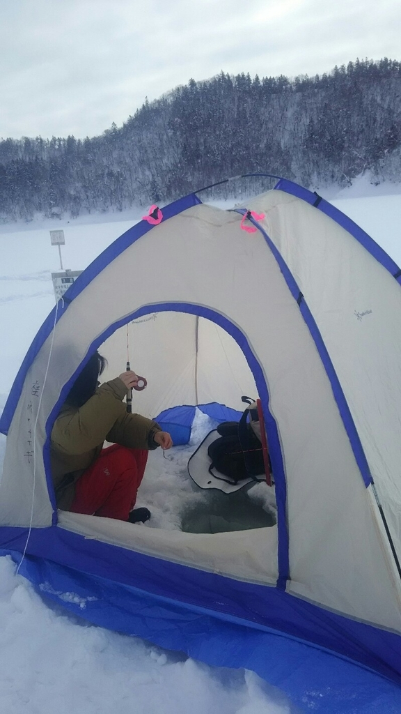f:id:flyfisher417:20190127193203j:plain