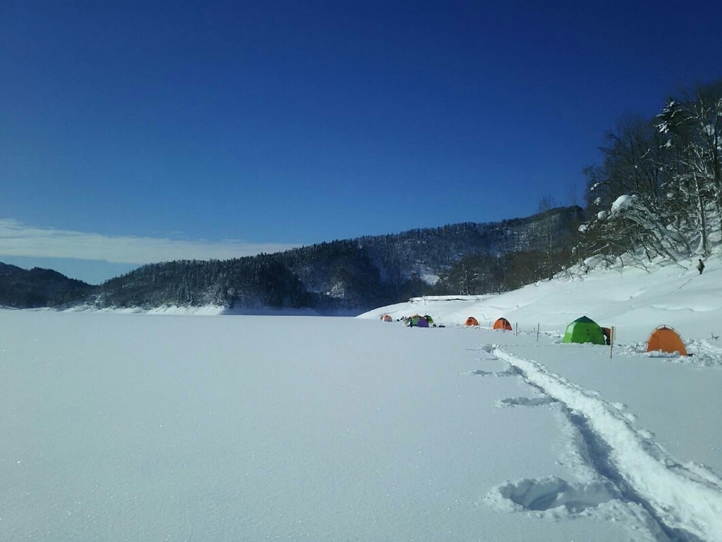 f:id:flyfisher417:20190127193358j:plain