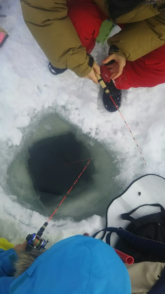 f:id:flyfisher417:20190127193846j:plain
