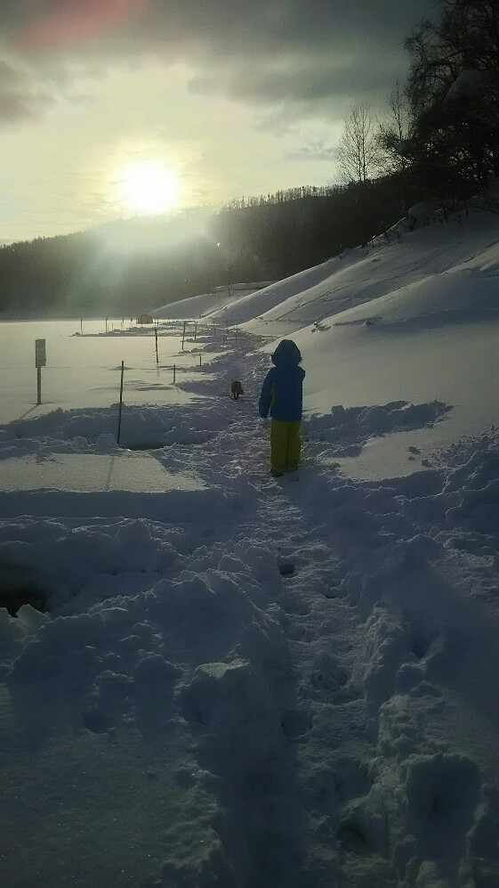 f:id:flyfisher417:20190127200139j:plain