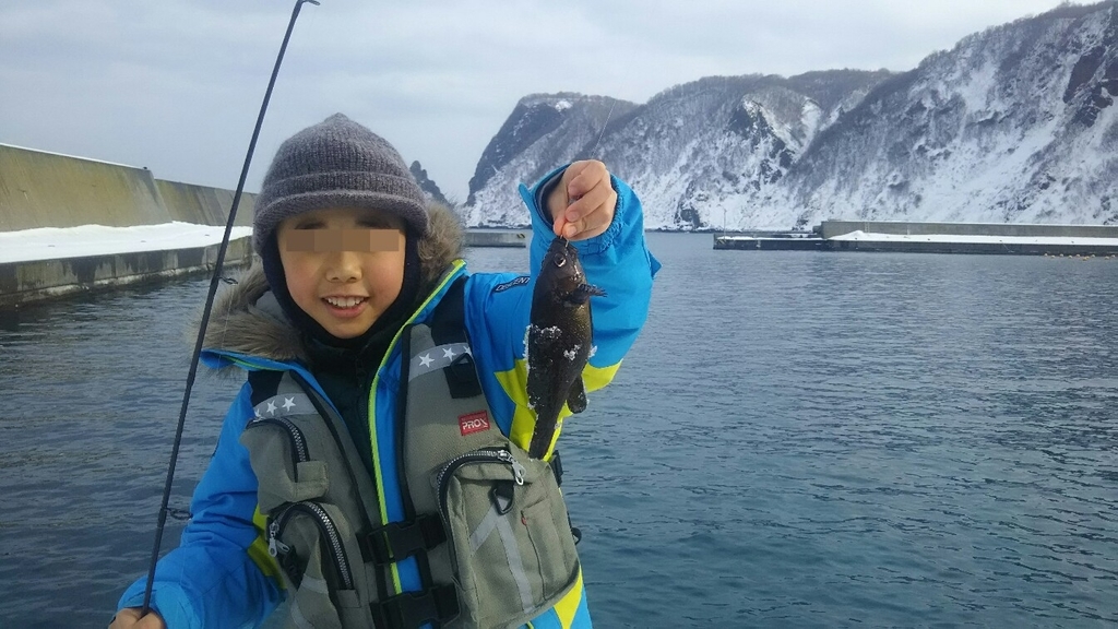 f:id:flyfisher417:20190206200511j:plain