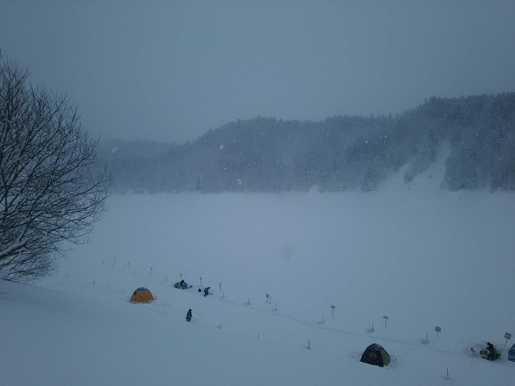 f:id:flyfisher417:20190219131640j:plain f:id:flyfisher417:20190219131640j:plain