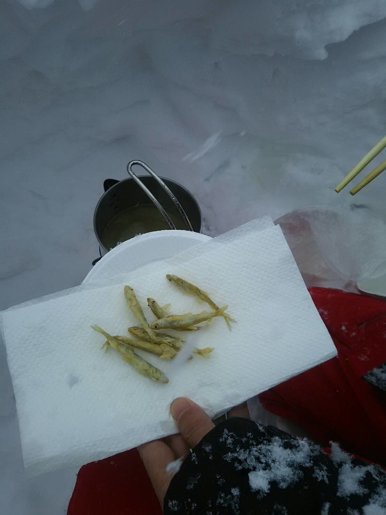 f:id:flyfisher417:20190219131901j:plain f:id:flyfisher417:20190219131901j:plain