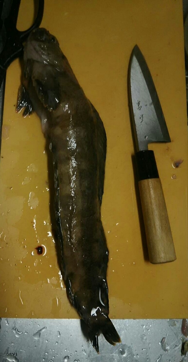 f:id:flyfisher417:20190416155125j:plain f:id:flyfisher417:20190416155125j:plain