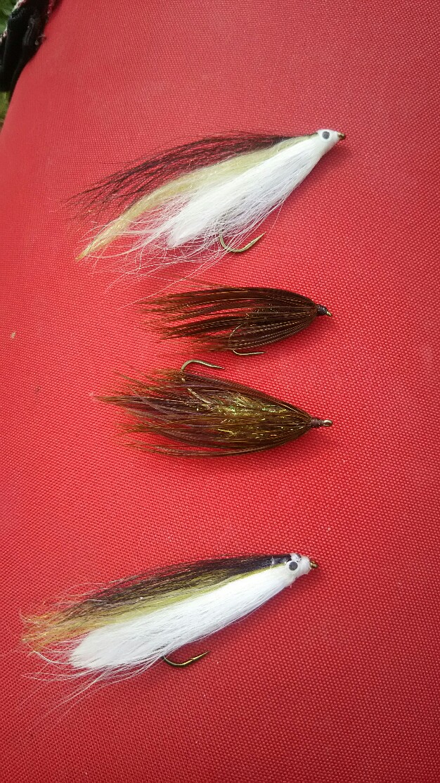 f:id:flyfisher417:20190507122703j:plain