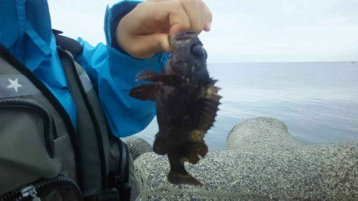 f:id:flyfisher417:20190508191104j:plain
