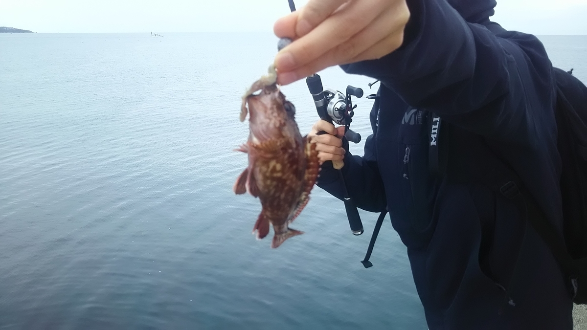 f:id:flyfisher417:20190508191301j:plain