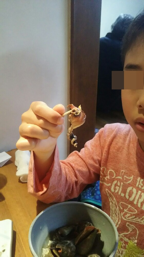 f:id:flyfisher417:20190513231117j:plain