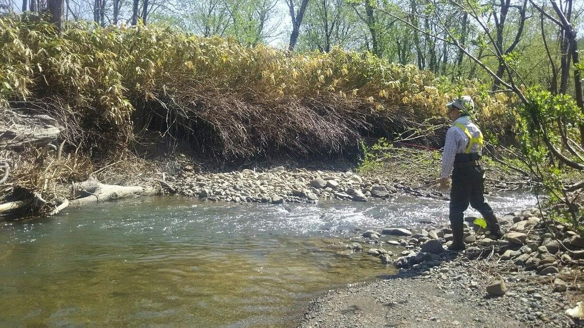 f:id:flyfisher417:20190524005703j:plain