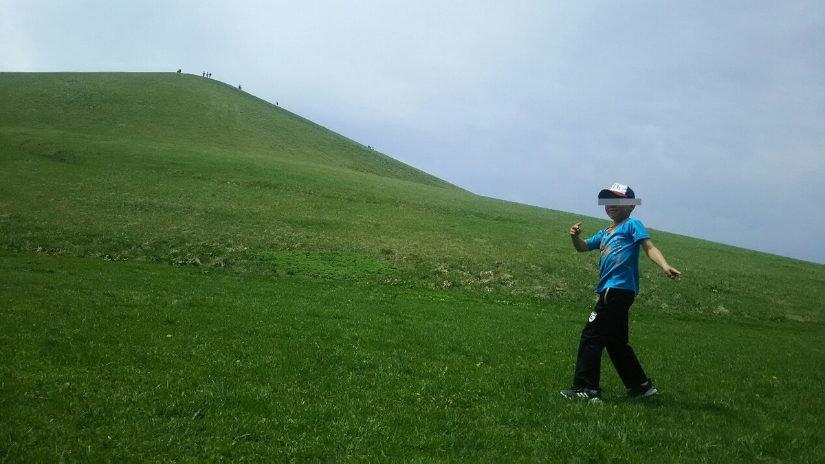 f:id:flyfisher417:20190524012246j:plain