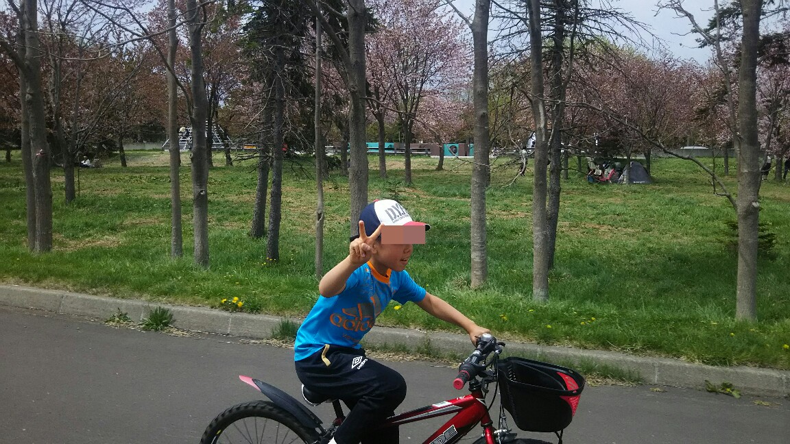 f:id:flyfisher417:20190524012333j:plain
