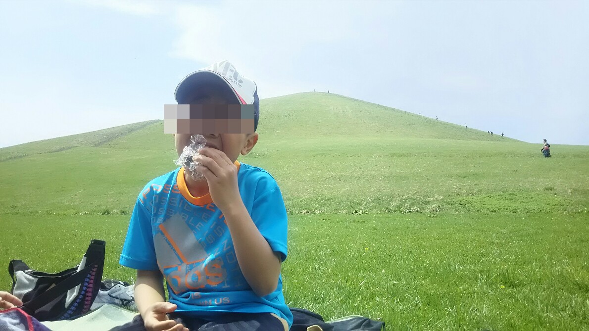 f:id:flyfisher417:20190524012531j:plain